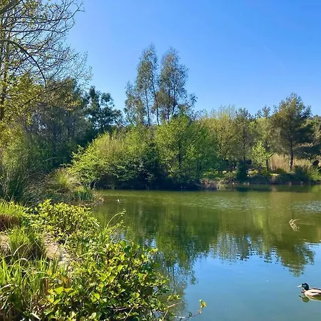 Les Restanques Cabriere 3024 *