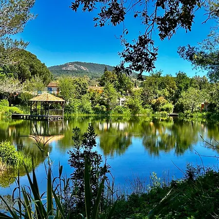 Les Restanques Cabriere 3024